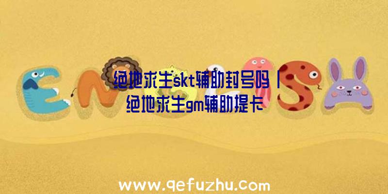 「绝地求生skt辅助封号吗」|绝地求生gm辅助提卡